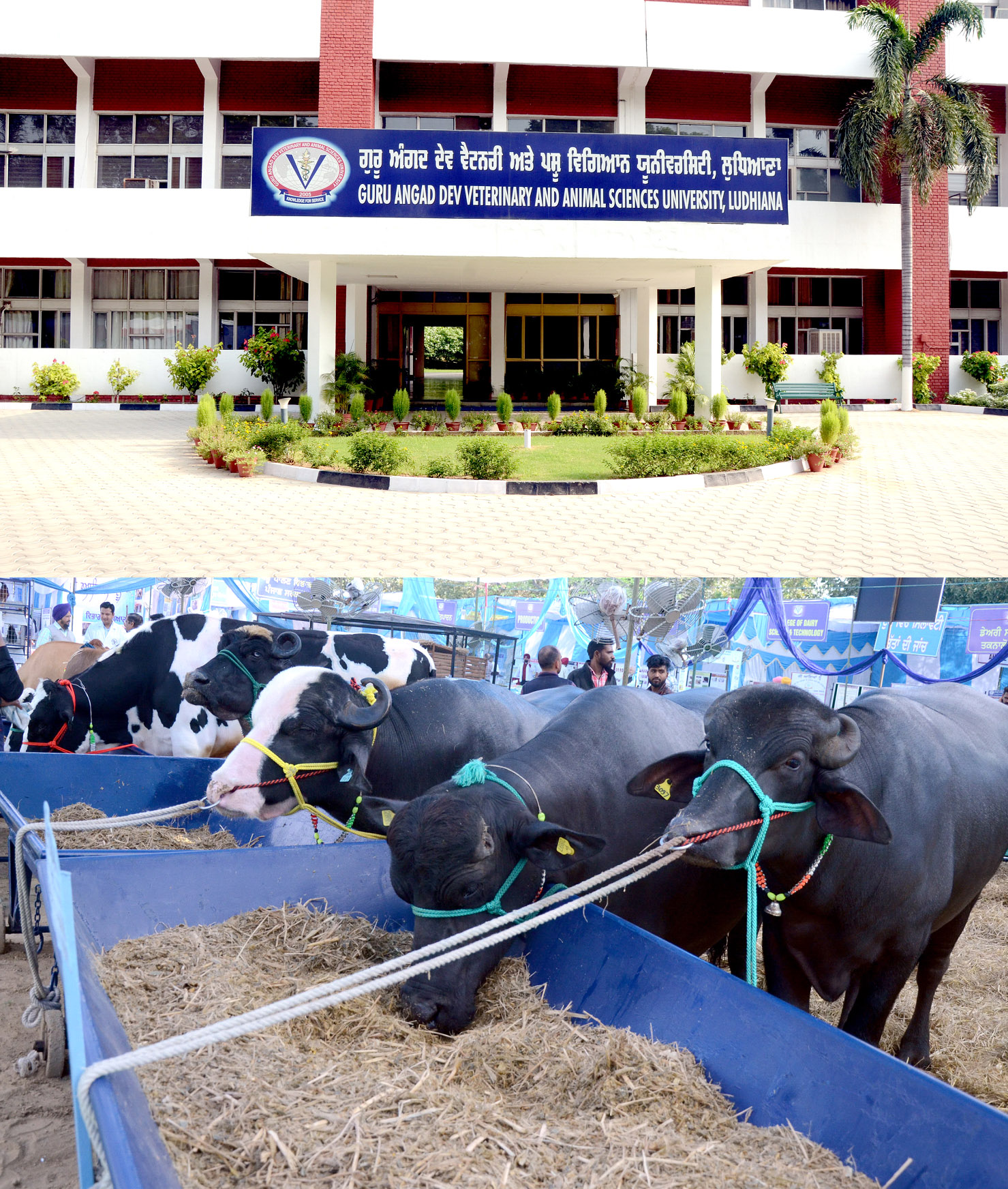Vet Varsity invites applications for Chief Minister Award
